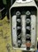 Giddings & Lewis Fraser Type MC Endomatic Facing Centring Machine